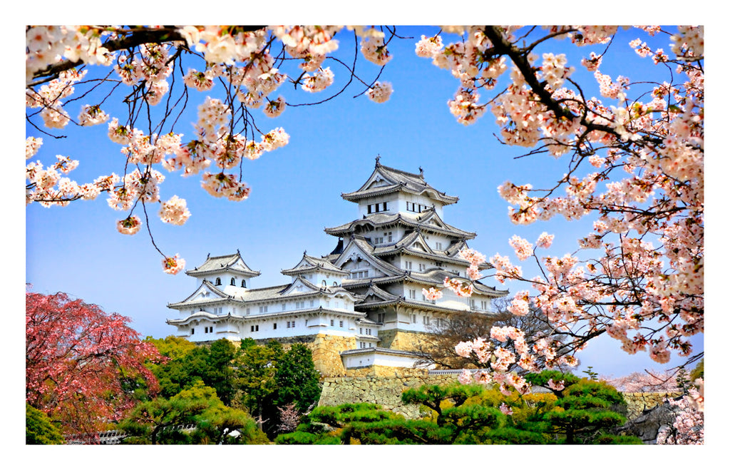 1000 Piece Premium 2D Puzzles - Himeji-jo castle in spring cherry blossoms